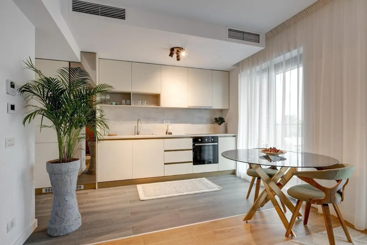 Luxury 1 Bedroom Flat Near Herastrau Park Βουκουρέστι